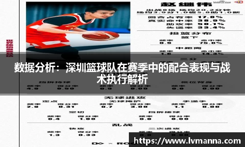 数据分析：深圳篮球队在赛季中的配合表现与战术执行解析